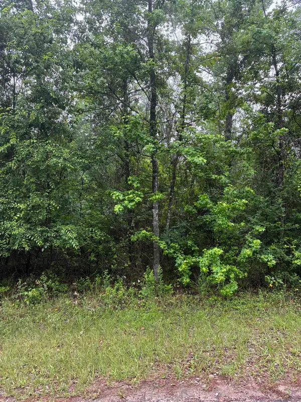 TBD LOT 561 TBD Eagle Bluff Loop Lot 561, Avinger, TX 75630