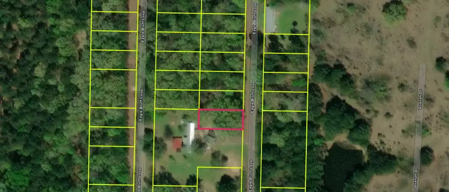 TBD LOT 561 TBD Eagle Bluff Loop Lot 561, Avinger, TX 75630 - #2