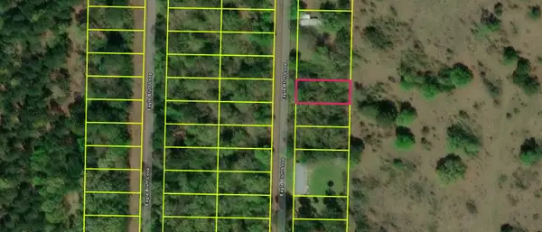 TBD LOT 386 TBD Eagle Bluff Loop Lot 386, Avinger, TX 75630