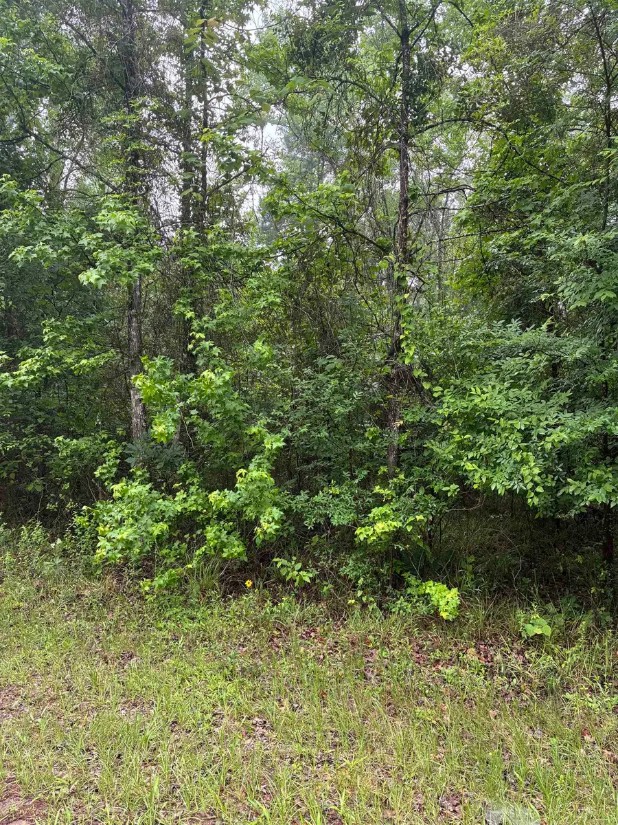 TBD LOT 521 TBD Eagle Bluff Loop Lot 521, Avinger, TX 75630 - #2