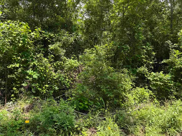 Sarber Road, Jefferson, TX 75657