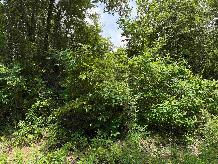 Sarber Road, Jefferson, TX 75657 - #2