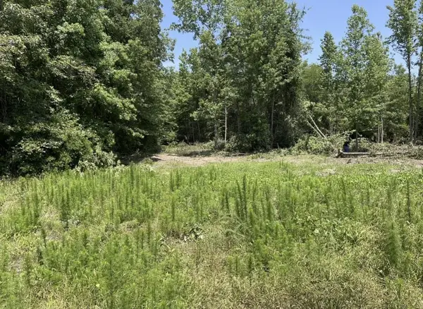 TBD CR 3417, Jefferson, TX 75657