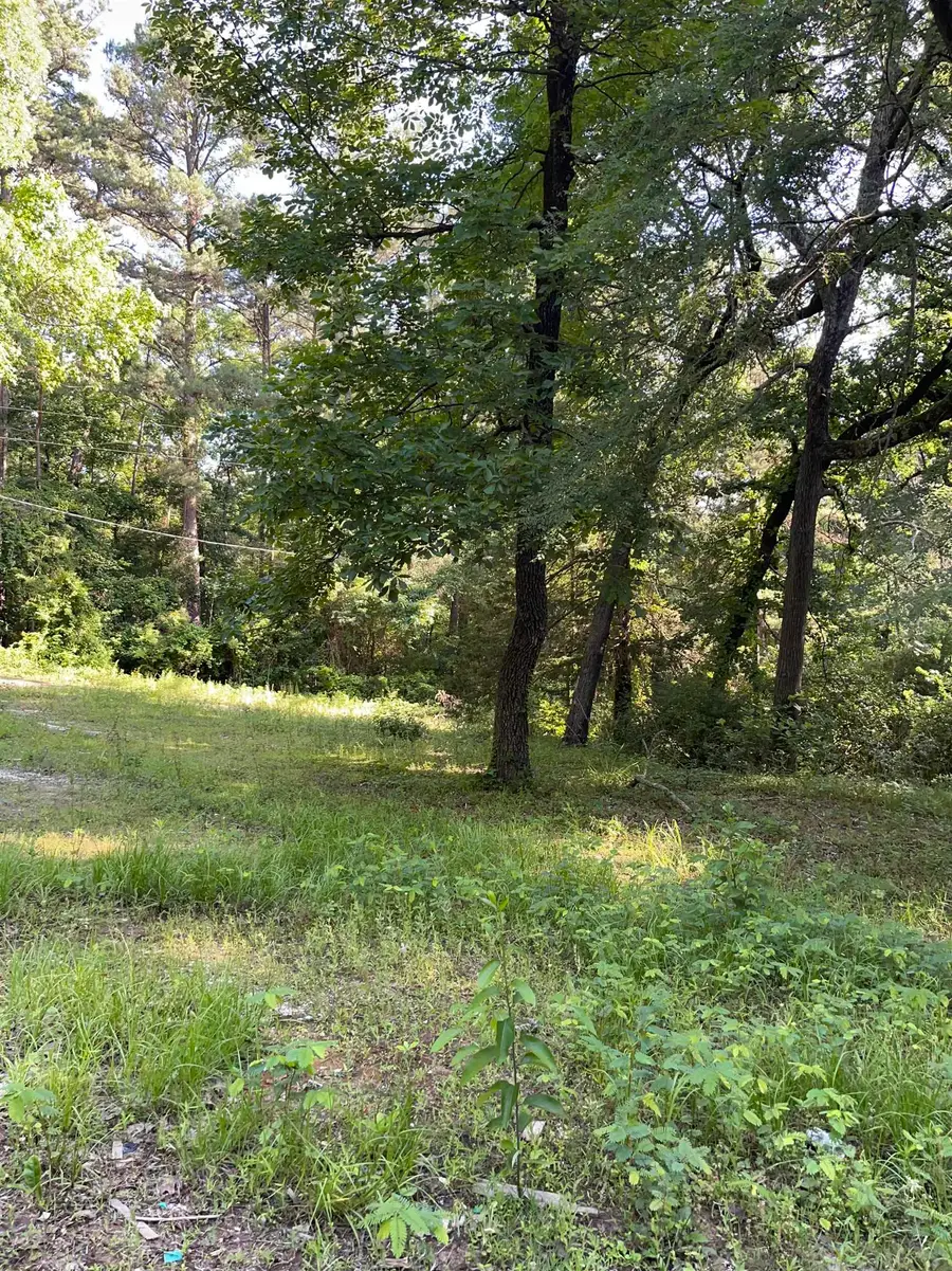 195 Lemans St., Ore City, TX 75683 - #2