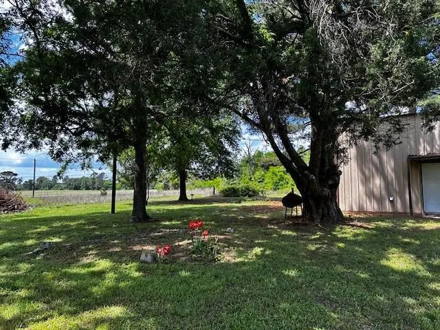 13894 S CR 317, Mount Enterprise, TX 75681 - #3