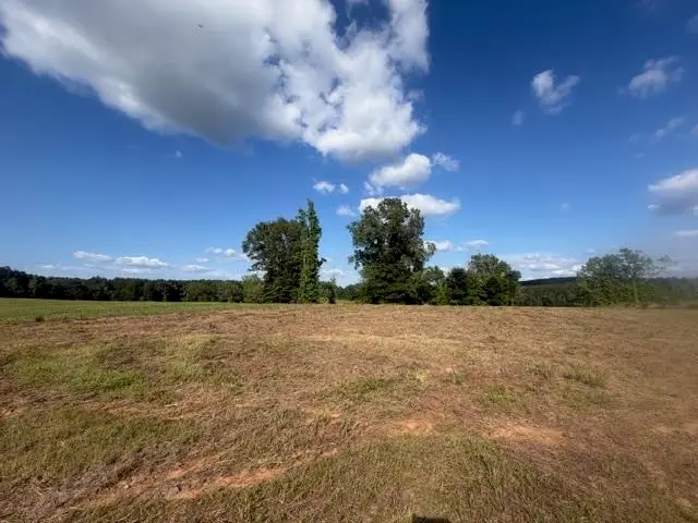 TBD Lot 5 Falcon View, Diana, TX 75640 - #1