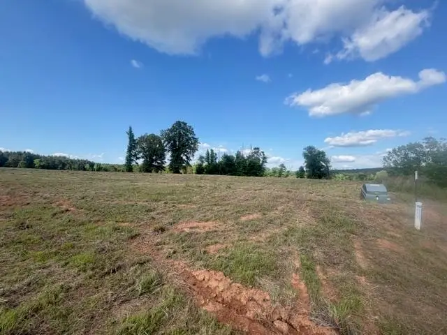 TBD Lot 5 Falcon View, Diana, TX 75640 - #3