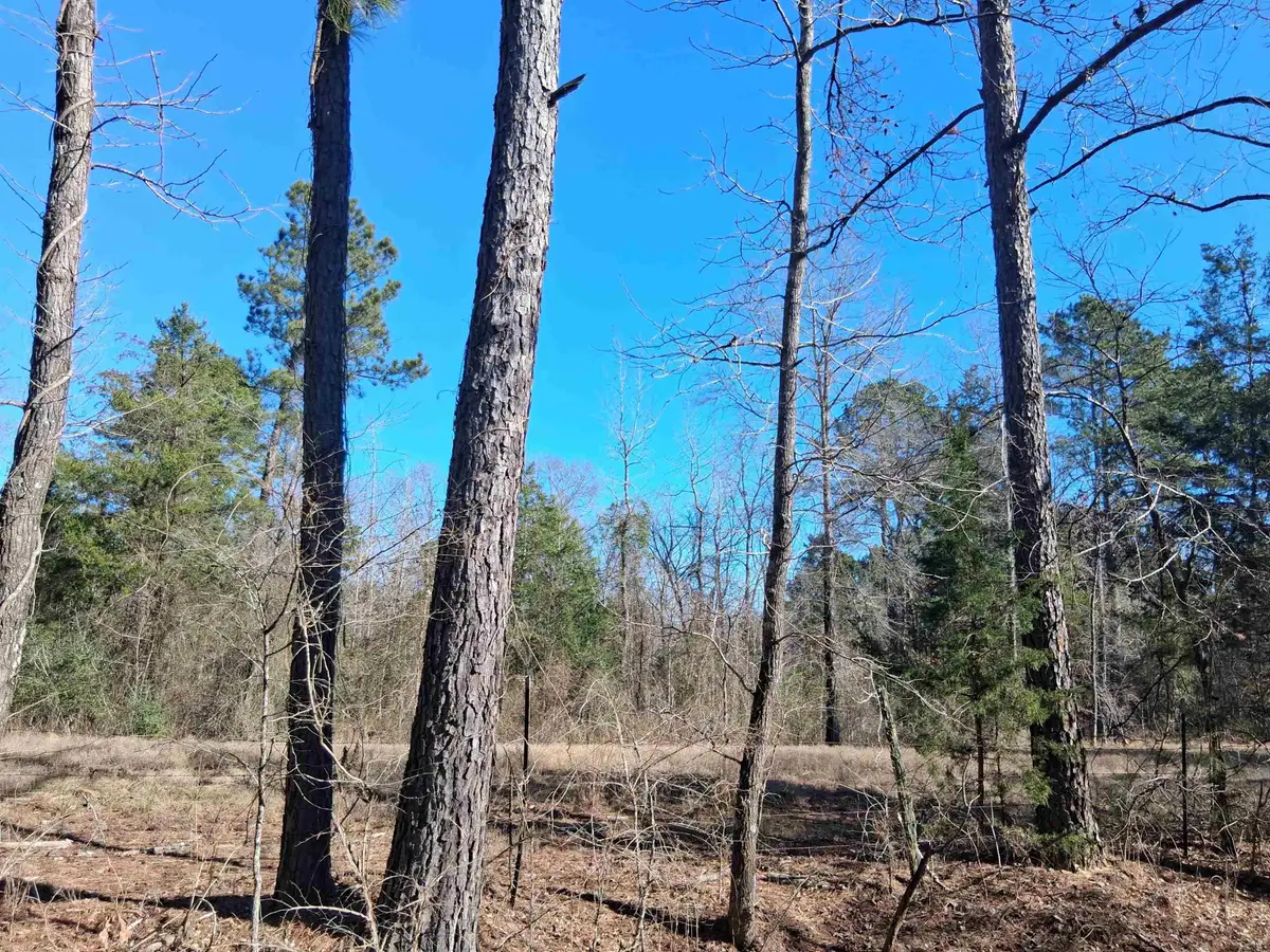 TBD Cass County road 1581, Avinger, TX 75630-9999 - #1