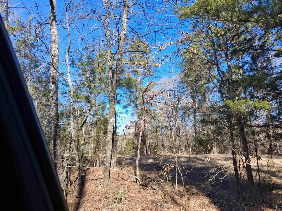 TBD Cass County road 1581, Avinger, TX 75630-9999 - #3