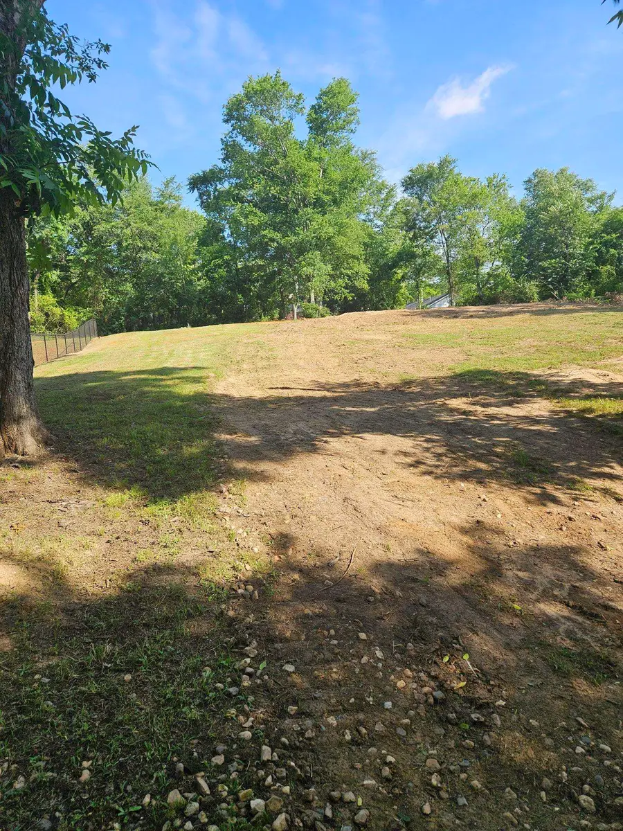 TBD W Camp ST, Jefferson, TX 75657 - #3