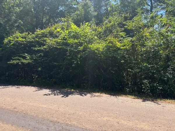 Lot 11 Deerwood Drive, Harleton, TX 75651