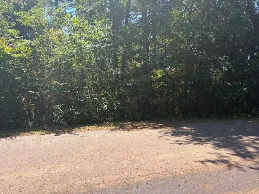 Lot 11 Deerwood Drive, Harleton, TX 75651 - #2