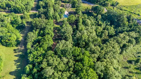 2376 Panda Rd, Gilmer, TX 75644