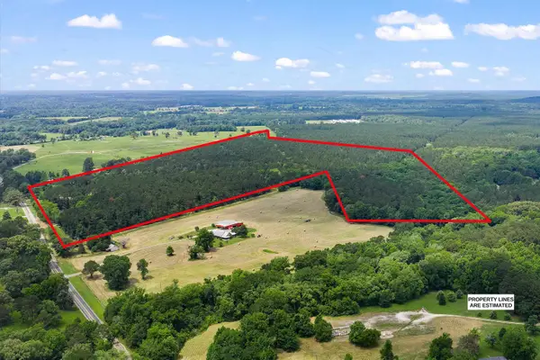 5694 FM 124, Beckville, TX 75631