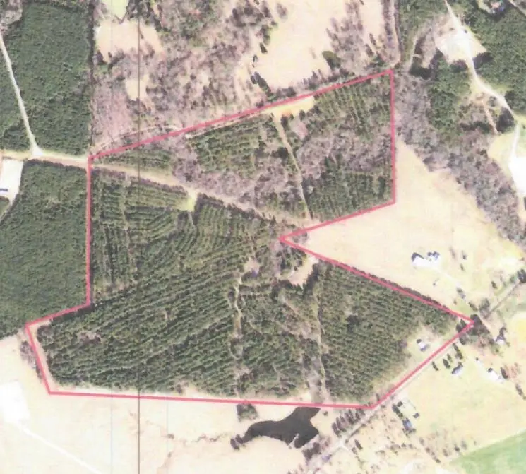 5694 FM 124, Beckville, TX 75631 - #2