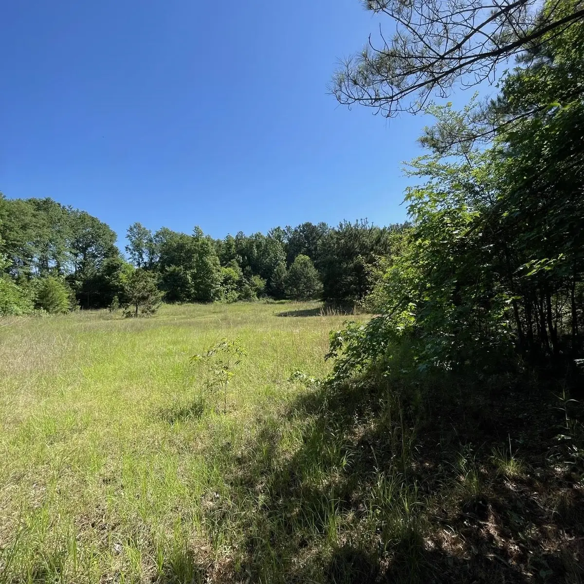 20127 County Road 2138, Troup, TX 75789 - #1