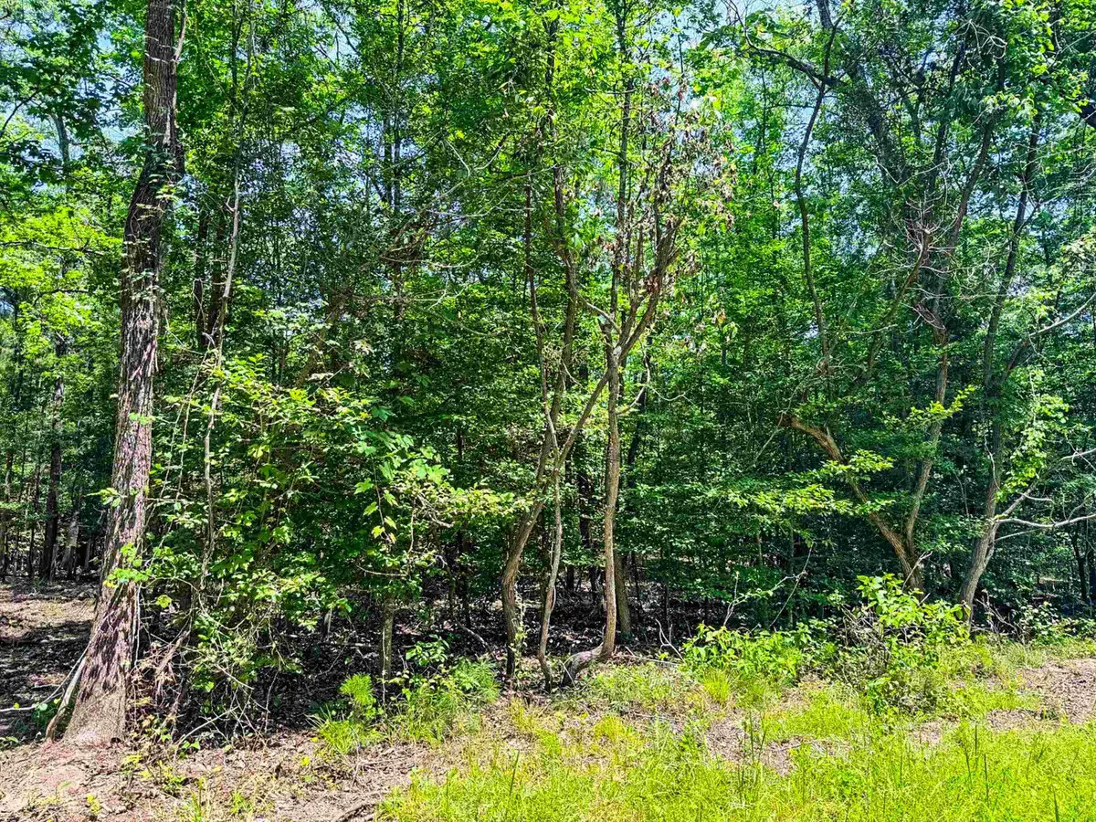 TBD County Road 3420, Jefferson, TX 75657 - #1