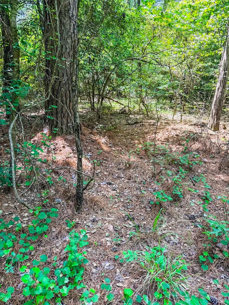 TBD County Road 3420, Jefferson, TX 75657 - #3