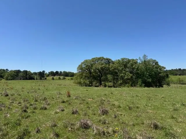 TBD 5 AC FM 2685, Gilmer, TX 75645 - #3