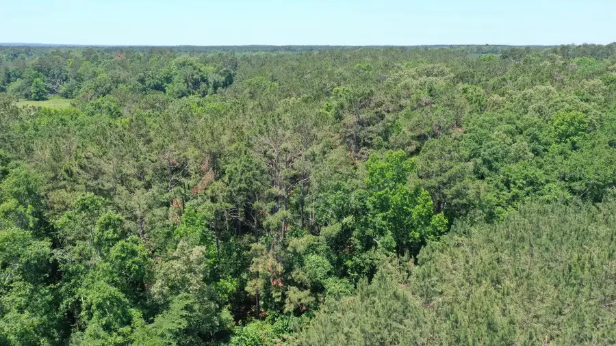 0000 US Hwy 59, Gary, TX 75643 - #2