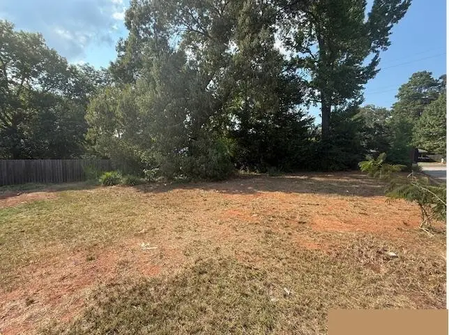 401 Tara Lane, Troup, TX 75789 - #2