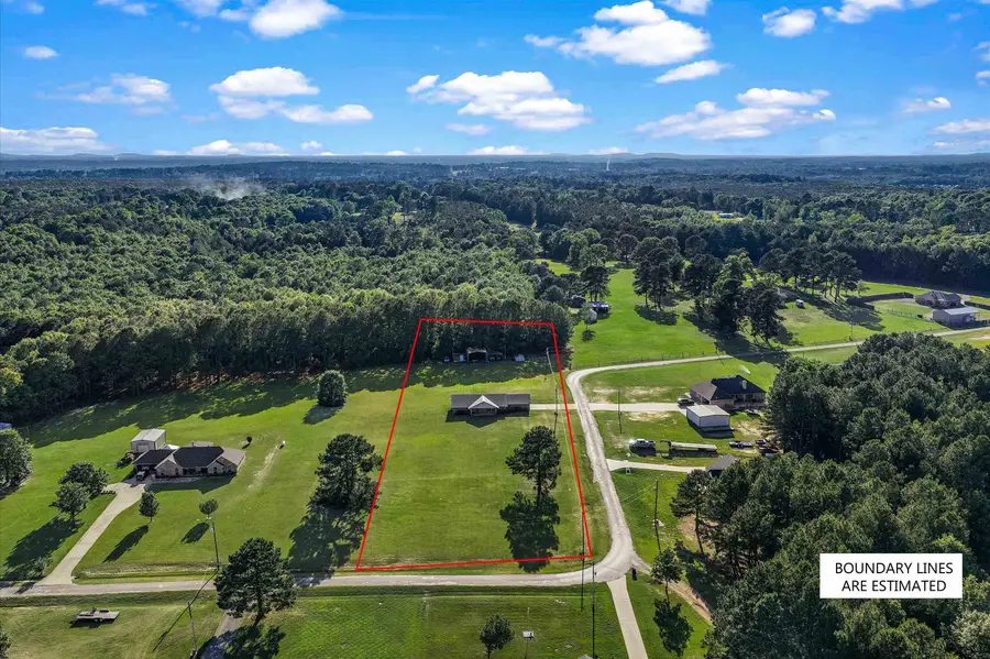 340 Private Road 1104, Diana, TX 75640 - #3