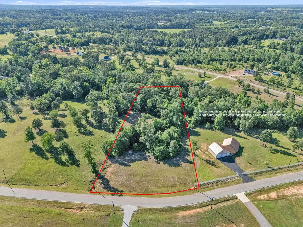 16808 Ridgeline Loop, Winona, TX 75792 - #1