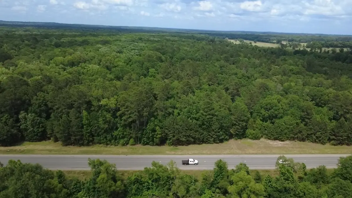 TBD- 134 Acres HWY 154, Harleton, TX 75650 - #1