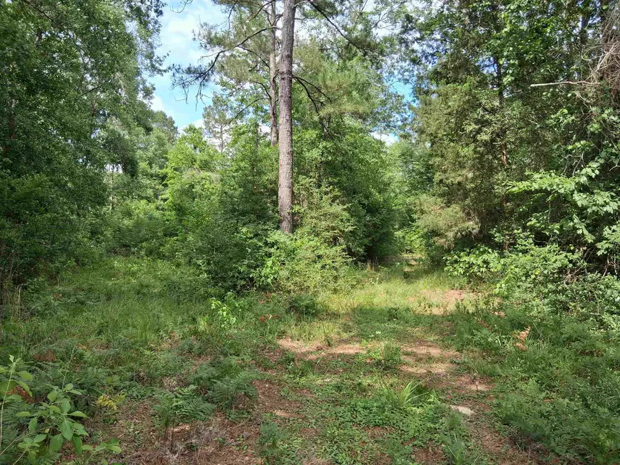 TBD- 134 Acres HWY 154, Harleton, TX 75650 - #3