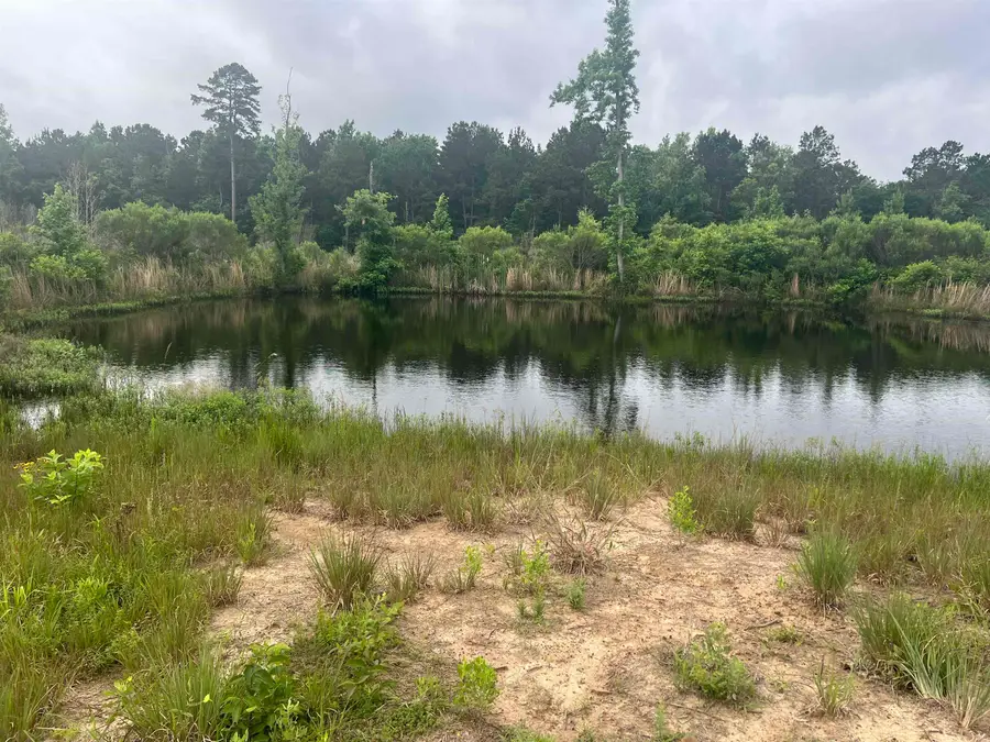 619 County Road 310, De Berry, TX 75639 - #2