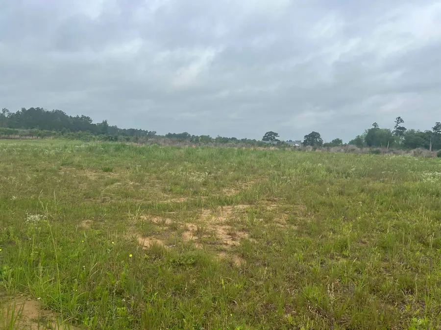 619 County Road 310, De Berry, TX 75639 - #3