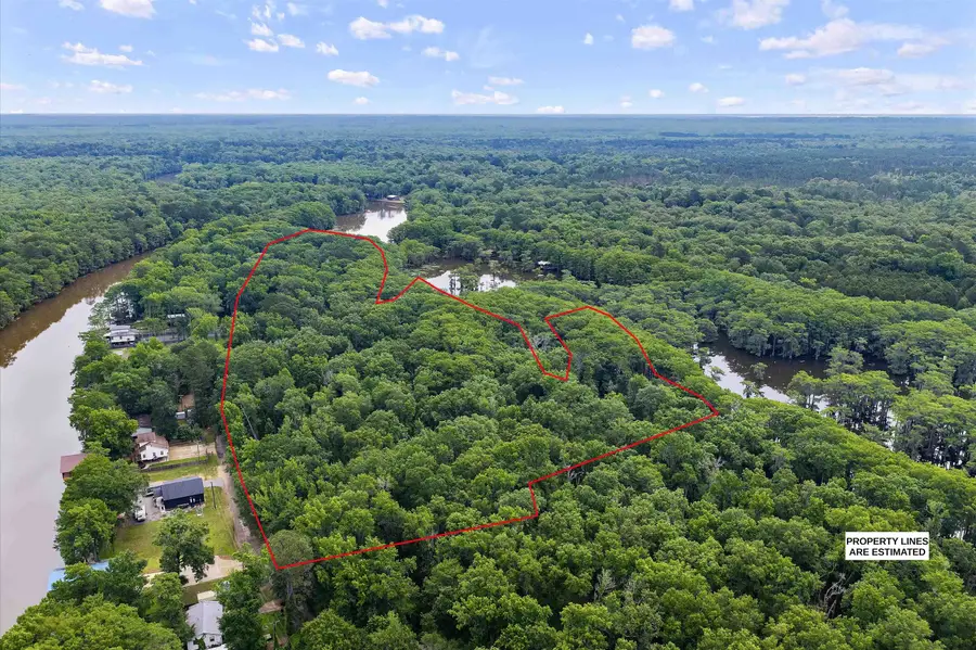 TBD Pine IslandRoad, Karnack, TX 75661 - #2