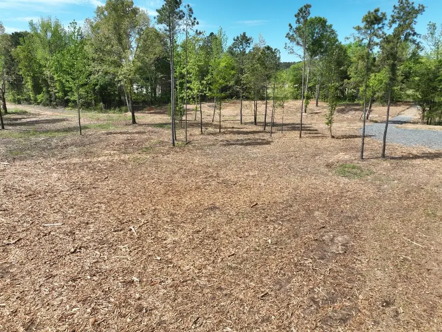 5.1 ac 1 CR 2312, Pittsburg, TX 75686 - #3