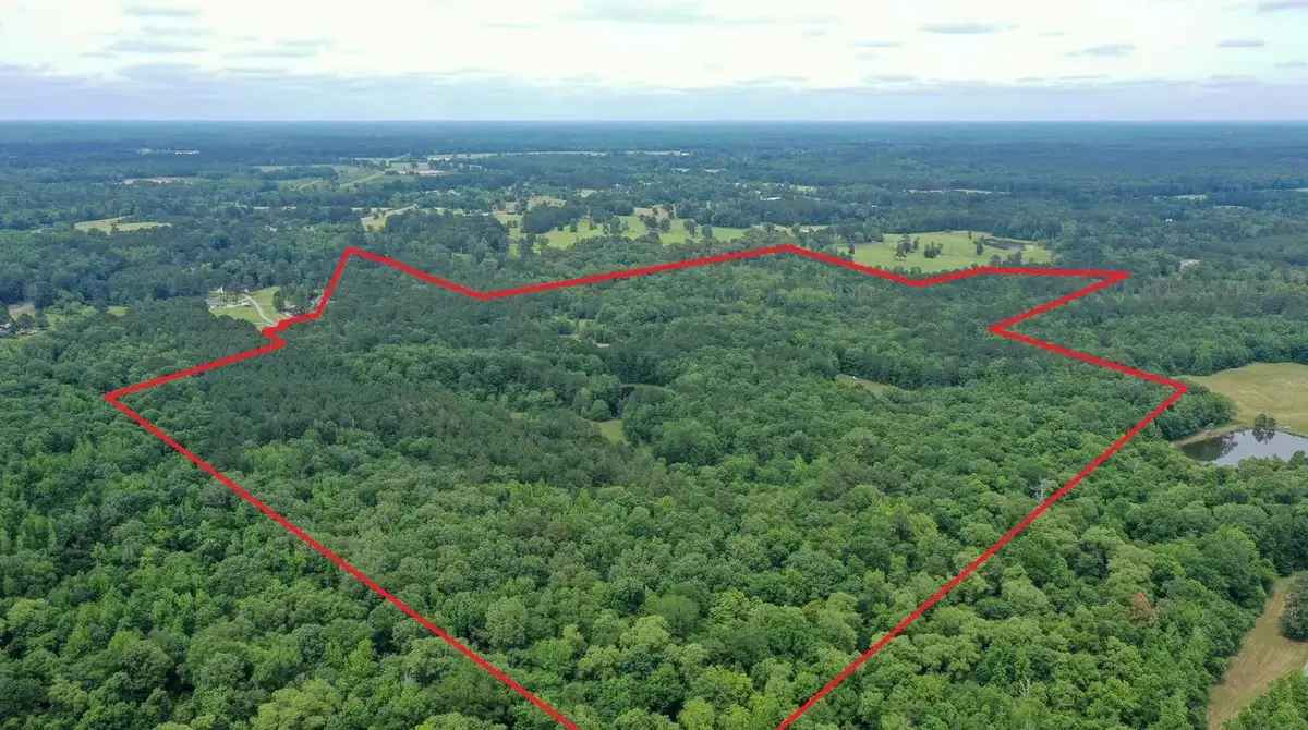 0000 Private Road 7381, De Berry, TX 75639 - #1