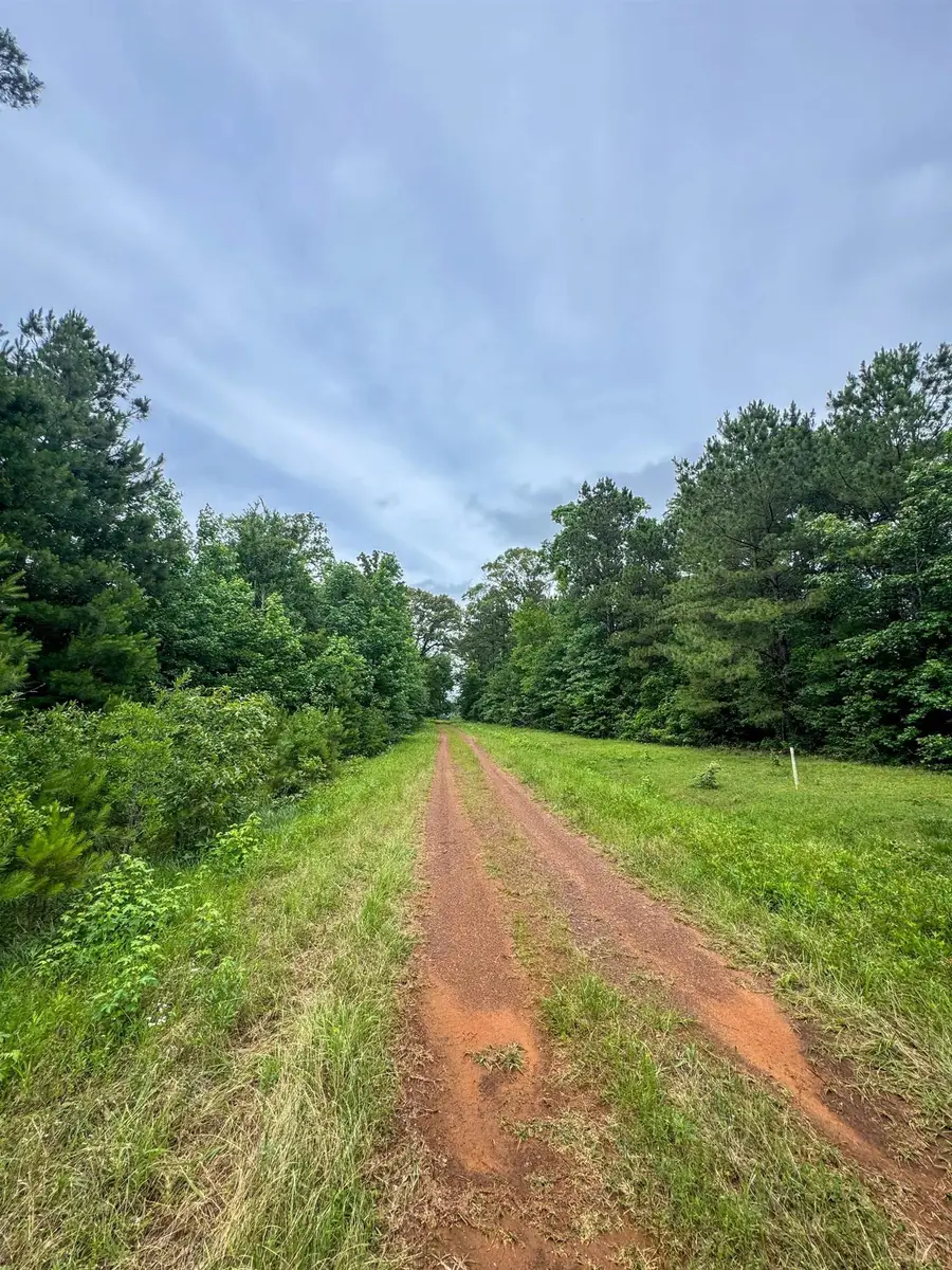 0000 Private Road 7381, De Berry, TX 75639 - #3