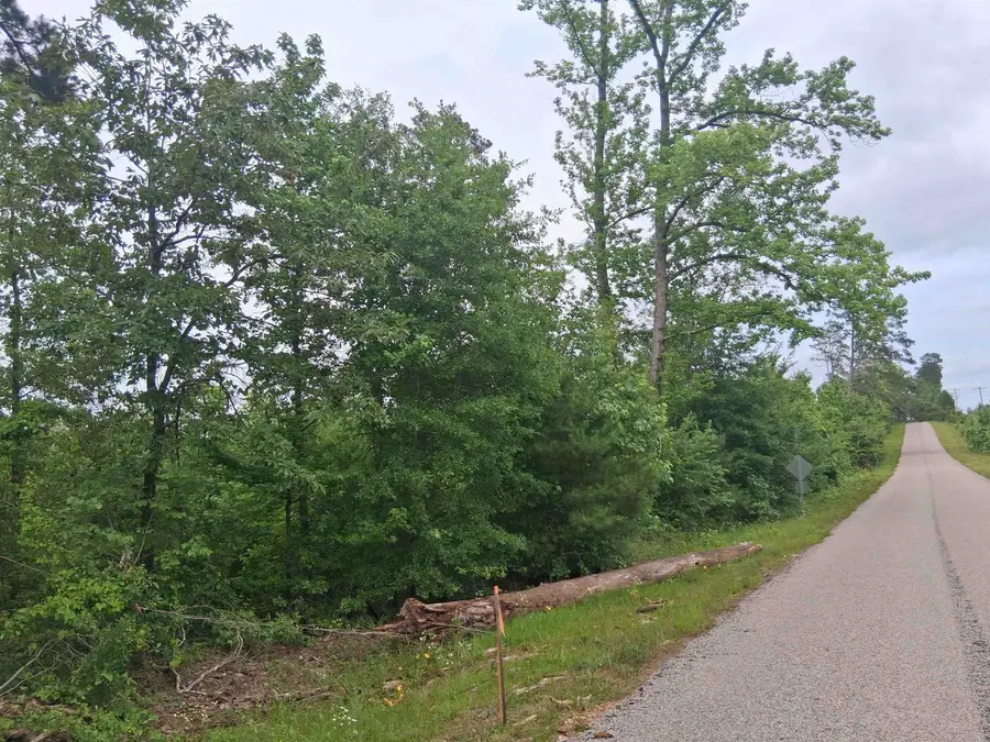 Lot 3 TBD Edmondson Rd, Harleton, TX 75651 - #2