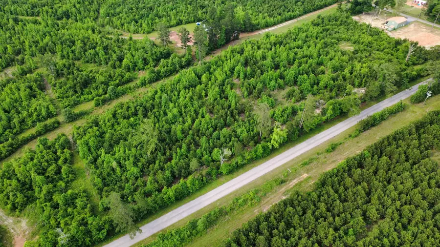 Lot 3 TBD Edmondson Rd, Harleton, TX 75651 - #3