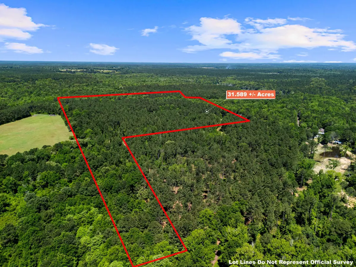 1392 CR 4564, Bivins, TX 75555 - #1