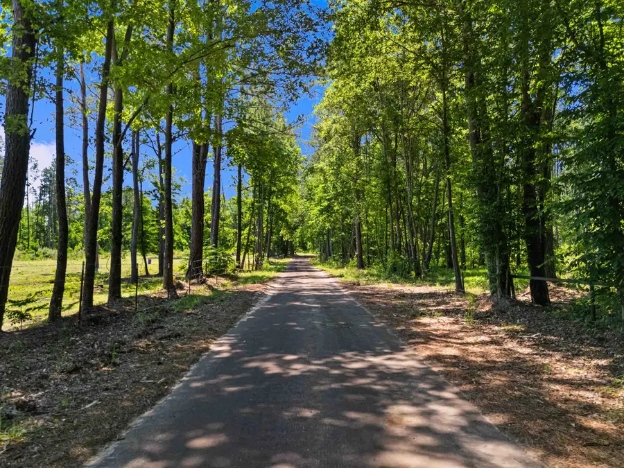 1392 CR 4564, Bivins, TX 75555 - #2