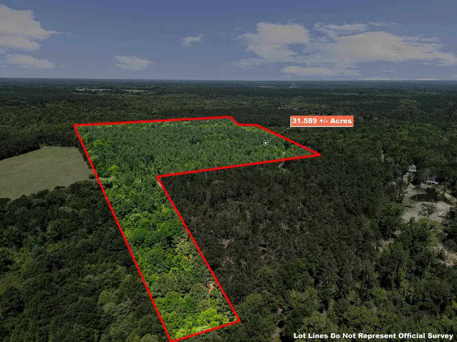 1392 CR 4564, Bivins, TX 75555 - #3