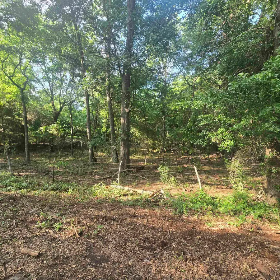 TBD CR 1107, Flint, TX 75762 - #3