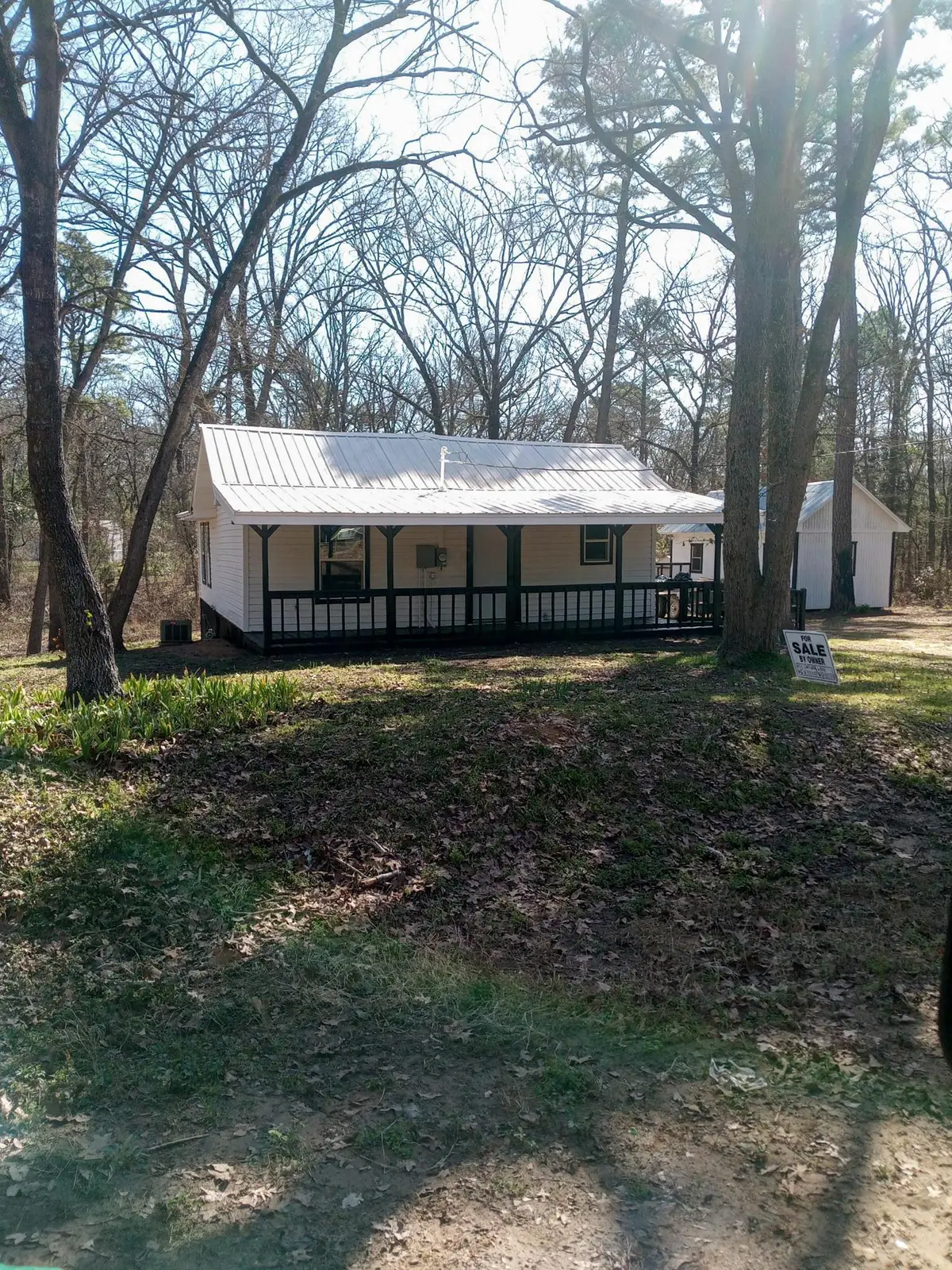 253 DAFFODIL LANE, Mount Vernon, TX 75457 - #1