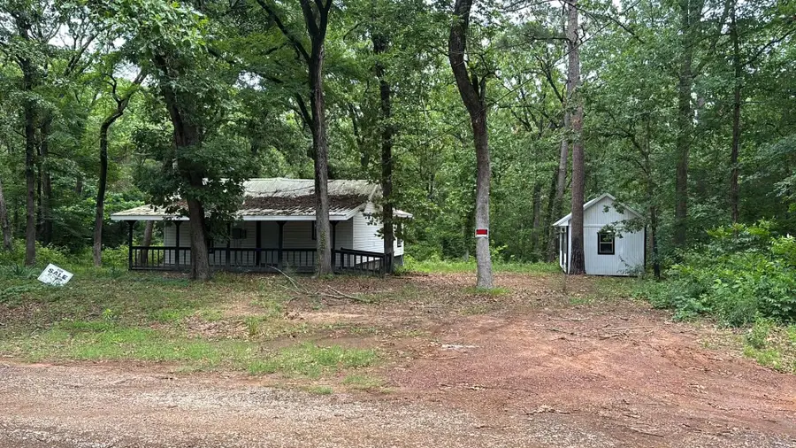 253 DAFFODIL LANE, Mount Vernon, TX 75457 - #2