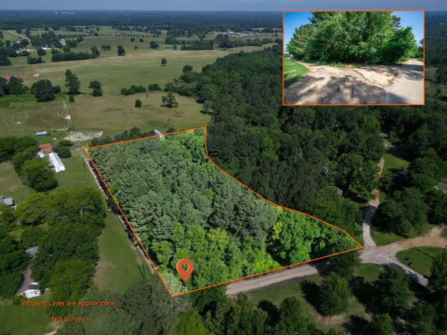 TBD Wiley Blvd, Big Sandy, TX 75755 - #2