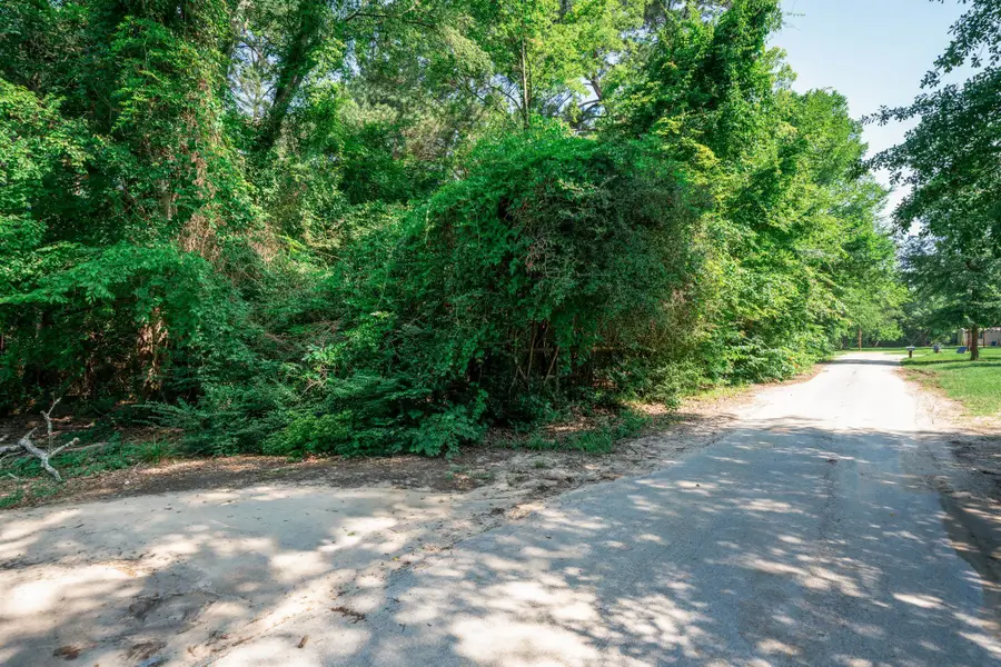 TBD Wiley Blvd, Big Sandy, TX 75755 - #3