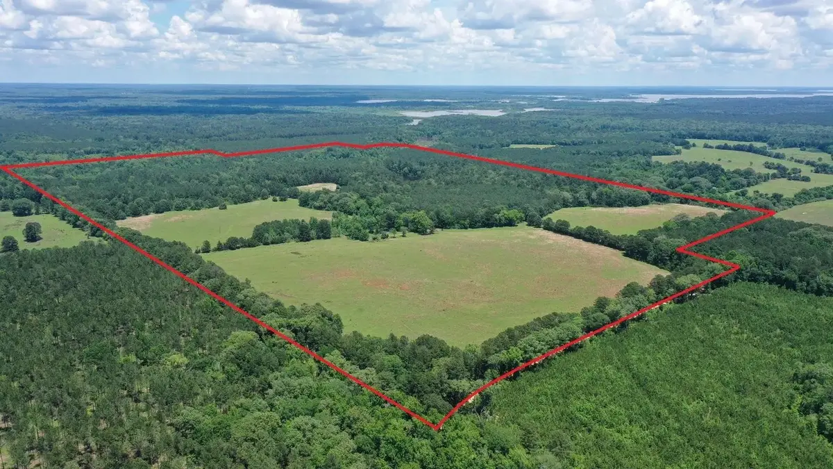295 County Road 2462, Douglassville, TX 75560 - #1