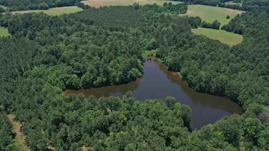 295 County Road 2462, Douglassville, TX 75560 - #3