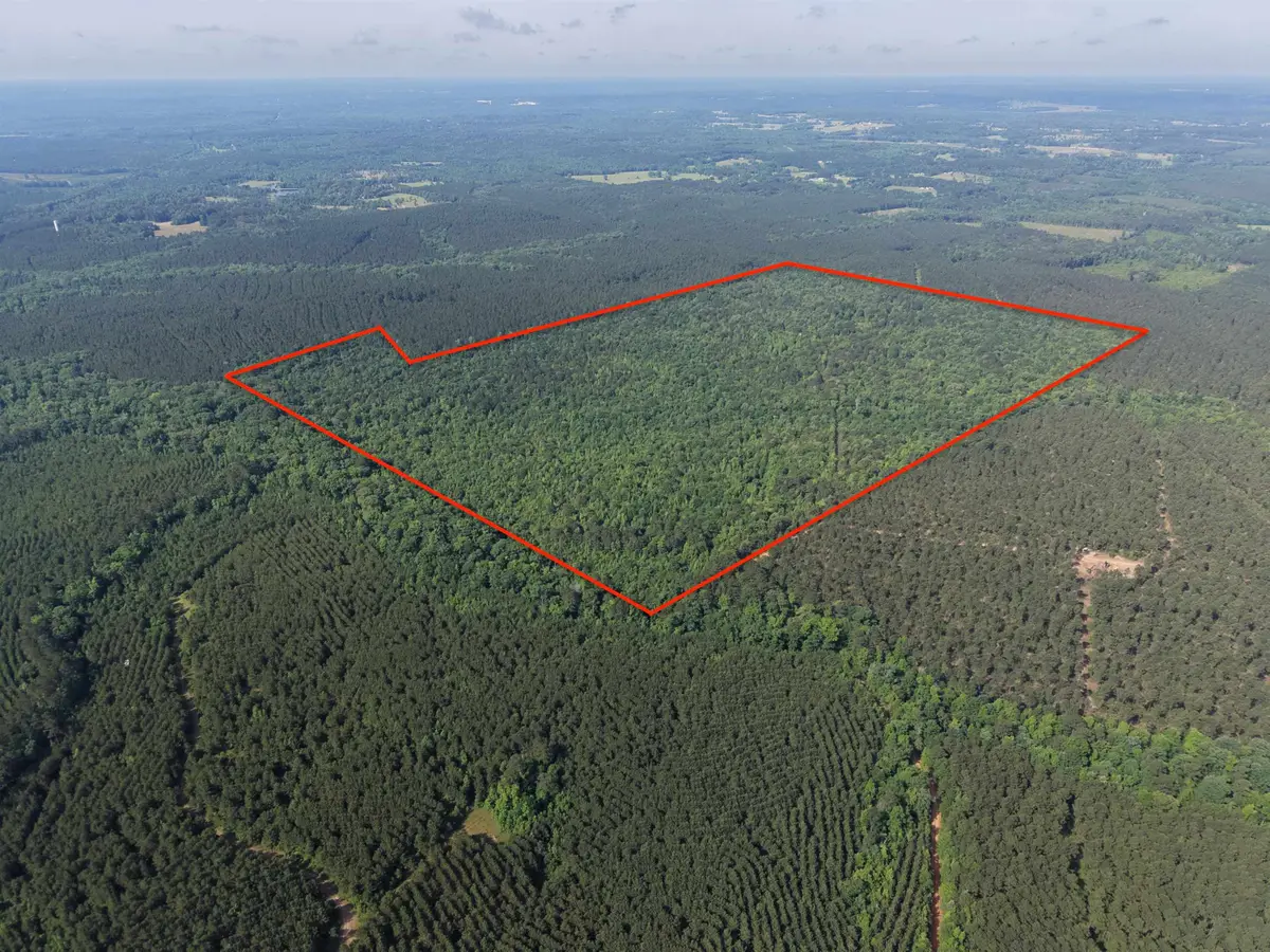 999 Flarity Rd, Jefferson, TX 75657 - #1