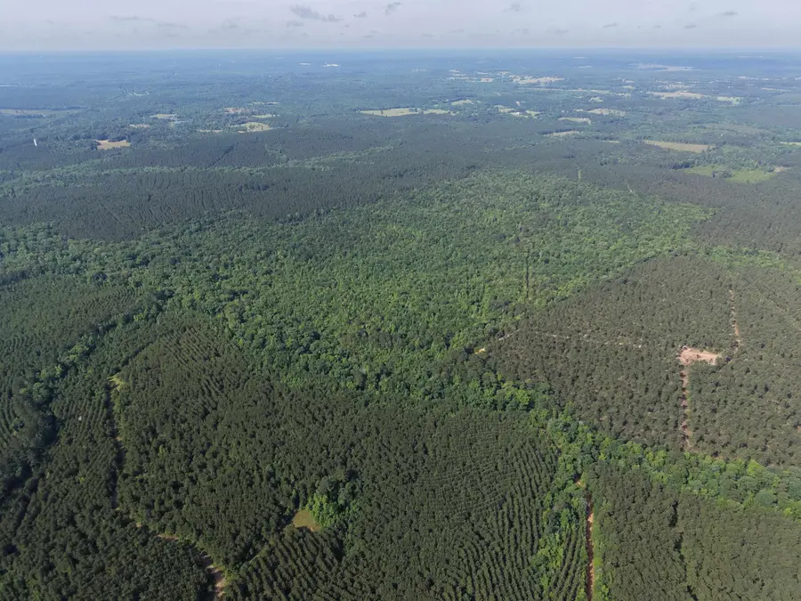 999 Flarity Rd, Jefferson, TX 75657 - #2