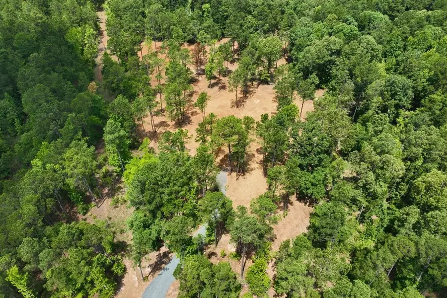 44 ac TBD Harkins Ln., Marshall, TX 75672-0000 - #3